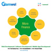 Best Banking Microfinance software Company | Camwel Solution LLP